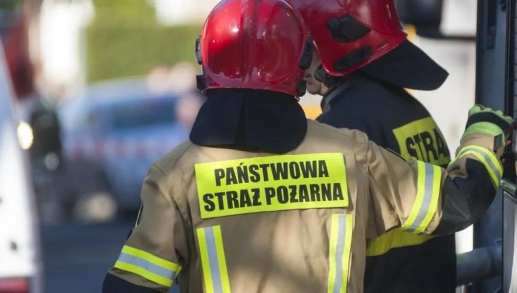 Autobus miejski uderzył w drzewo
