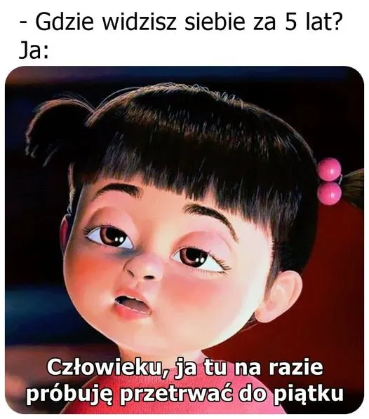 Gdzie widzisz siebie za 5 lat?