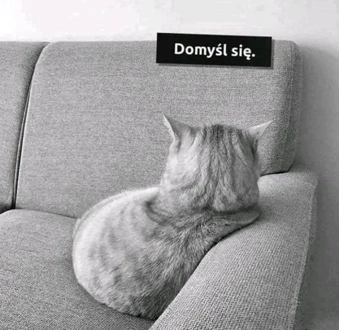 Domyśl się
