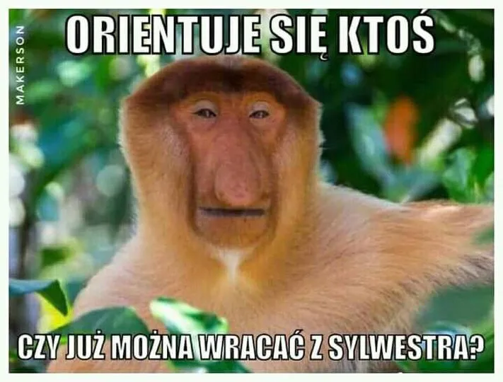 Powrót