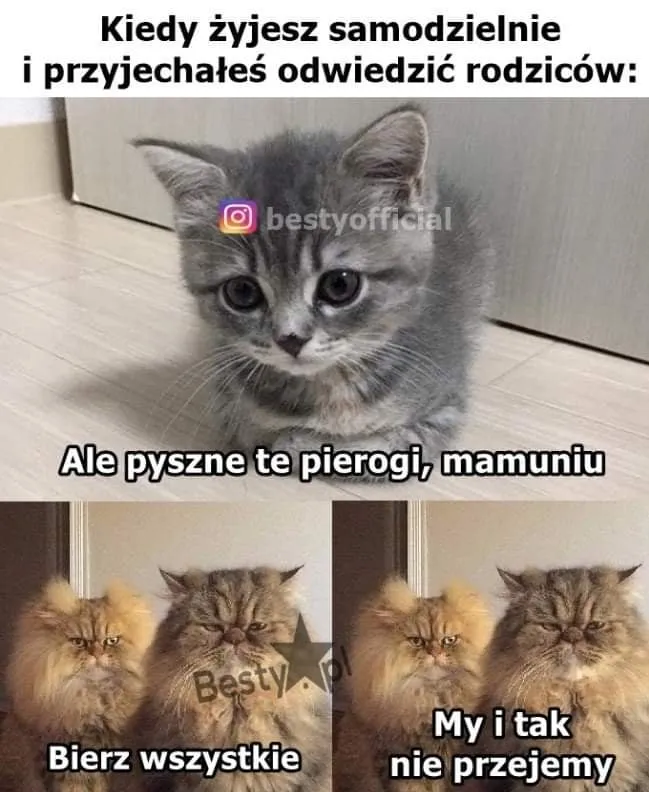 Pierogi