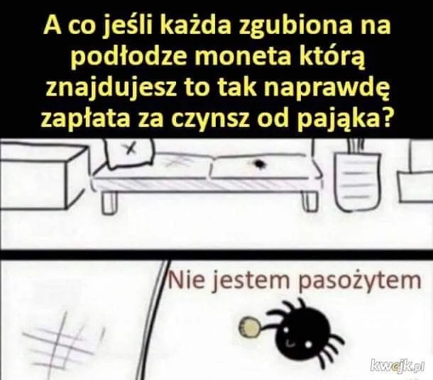 Czynsz