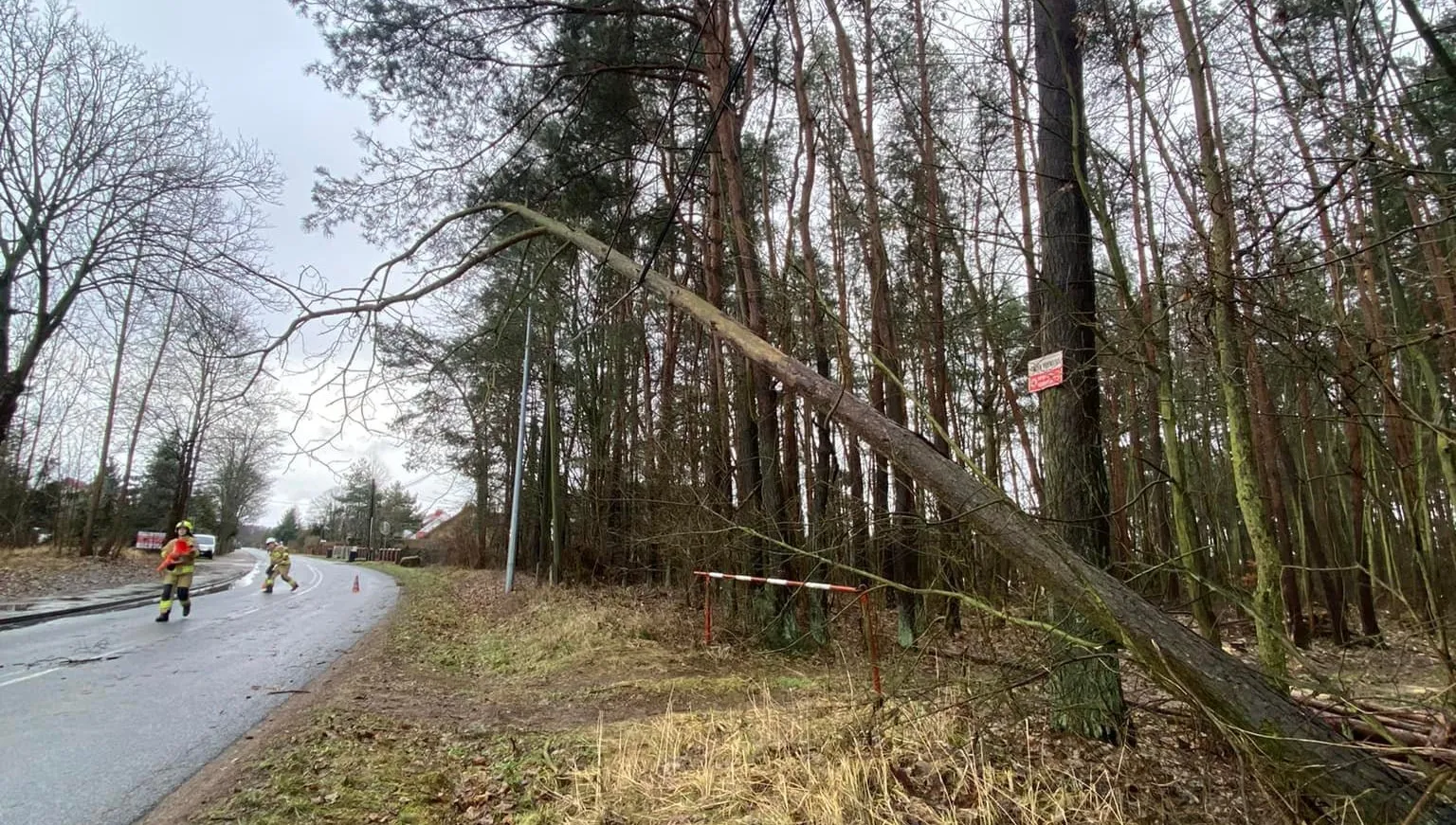 Powiało w Lubuskiem - strażacy mają co robić