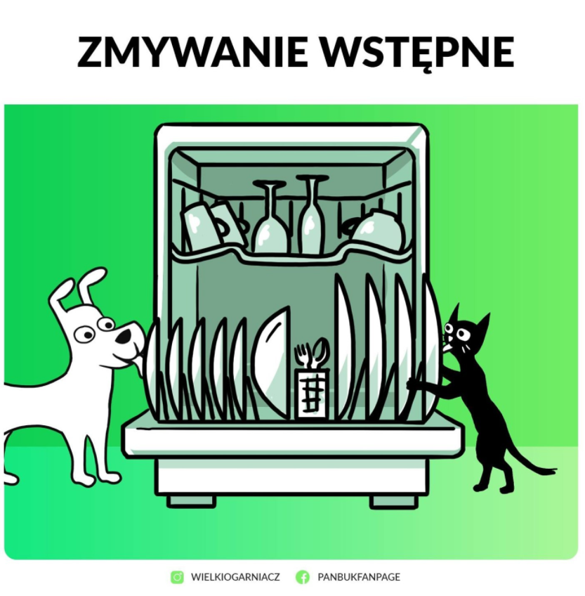 Zmywanie