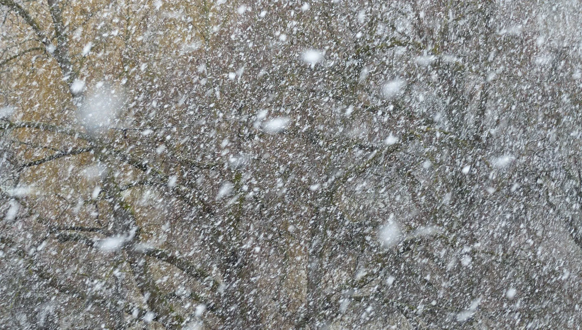 Burze śnieżne ponownie nad Polską