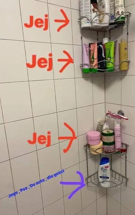 Do auta