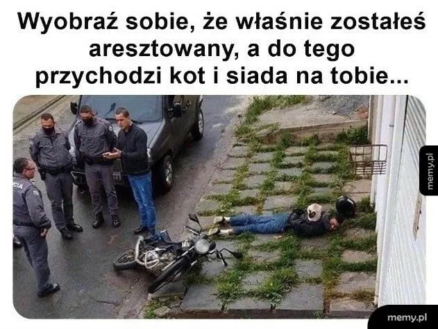 Siada