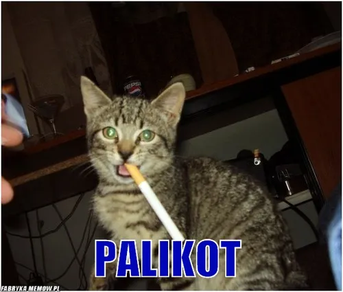 Palikot