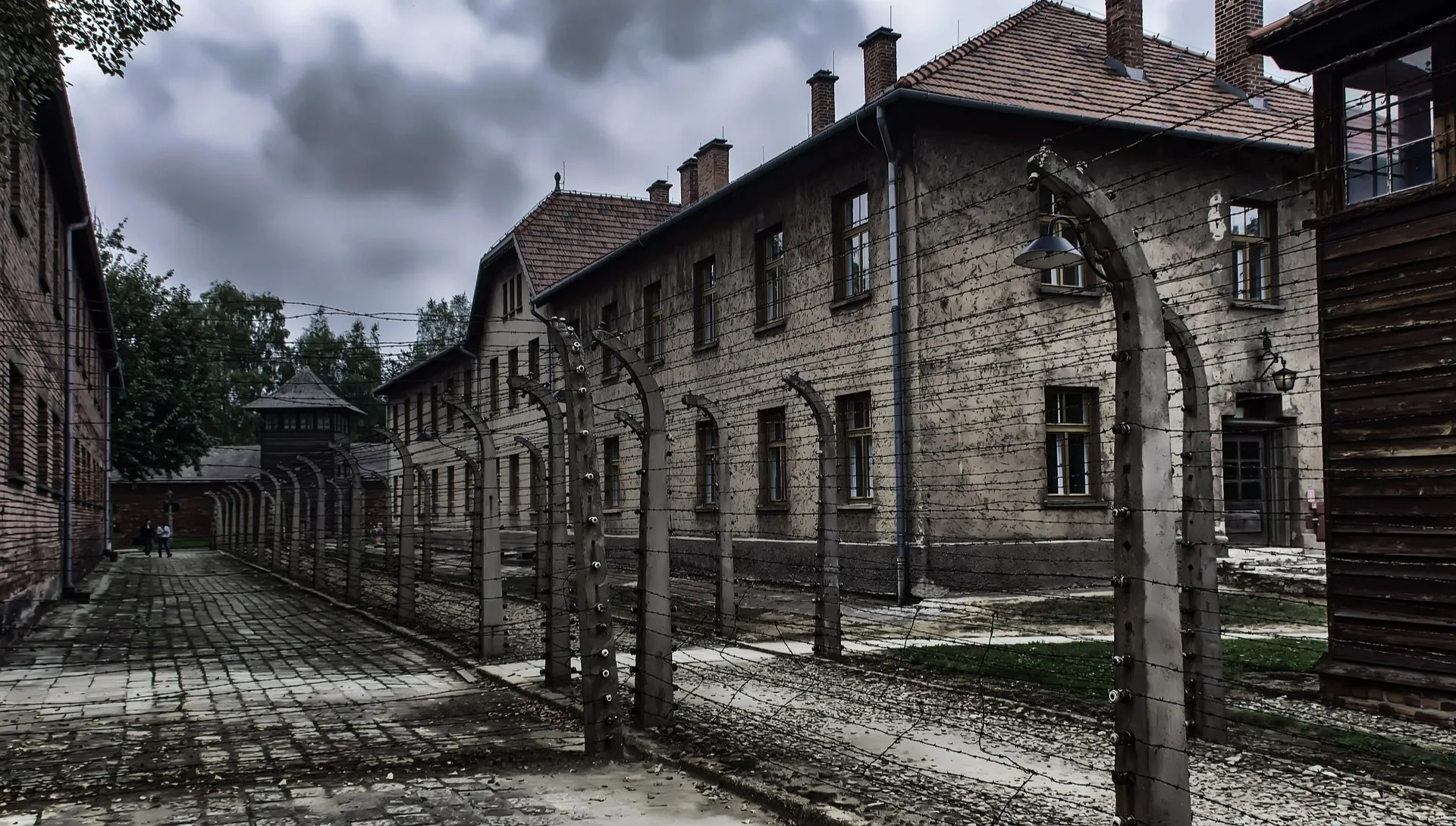 Oficjalne obchody 77. rocznicy wyzwolenia Auschwitz