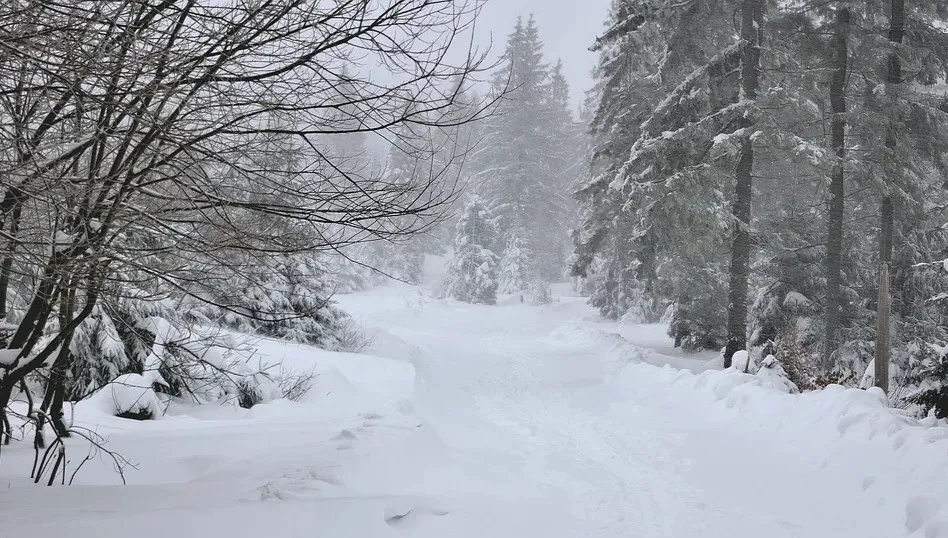 Podlaskie. Około 6 tys. odbiorców nadal bez prądu