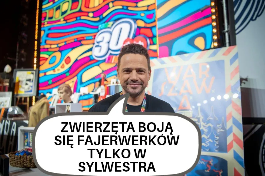 Kiedy się boją?