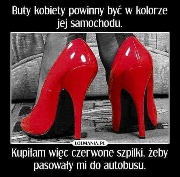 Pasują do samochodu