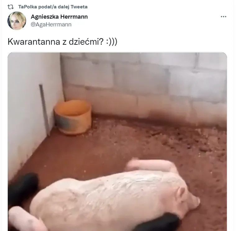 Kwarantanna