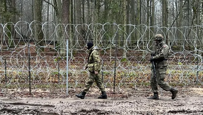 Migranci zatrzymani. Chcieli przekroczyć granicę polsko-białoruską