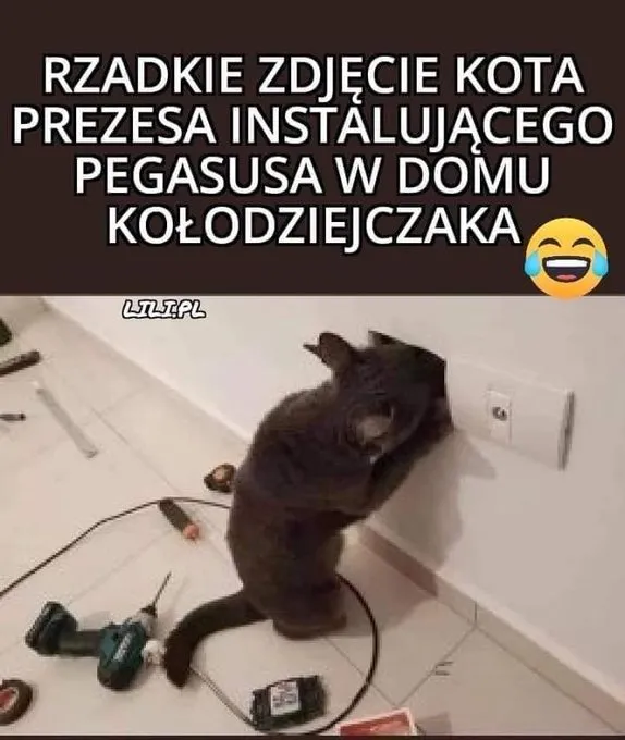 Dom Kołodziejczaka
