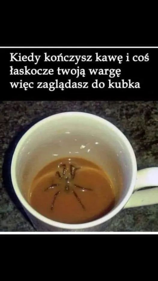 Kubek