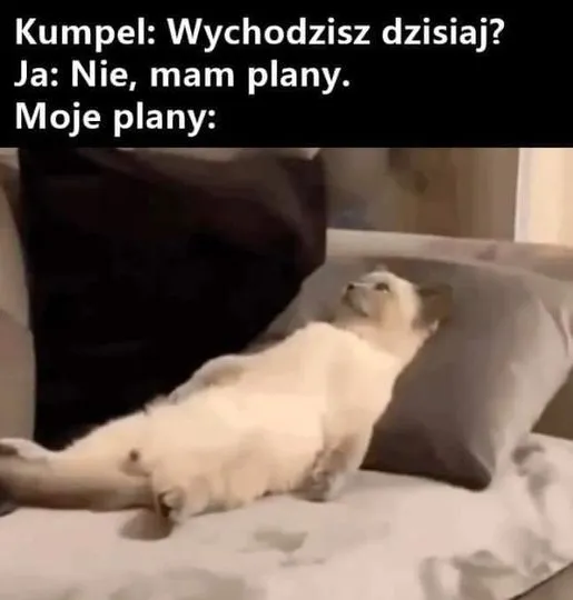 Plany