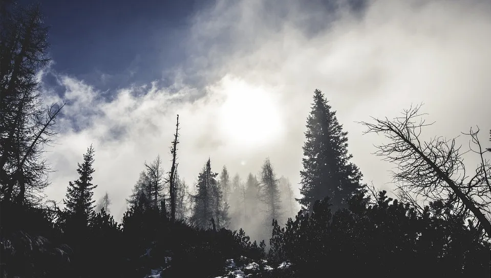 Zdjęcie ilustracyjne