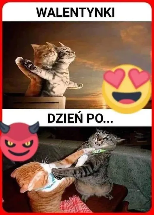 Walentynki