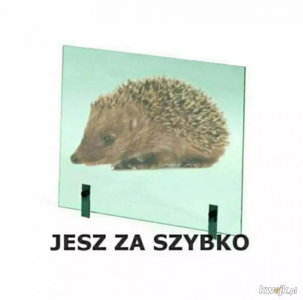 Wolniej jedz...