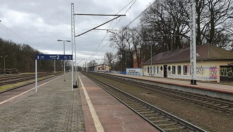 Wiatr powalił drzewa na trakcję kolejową