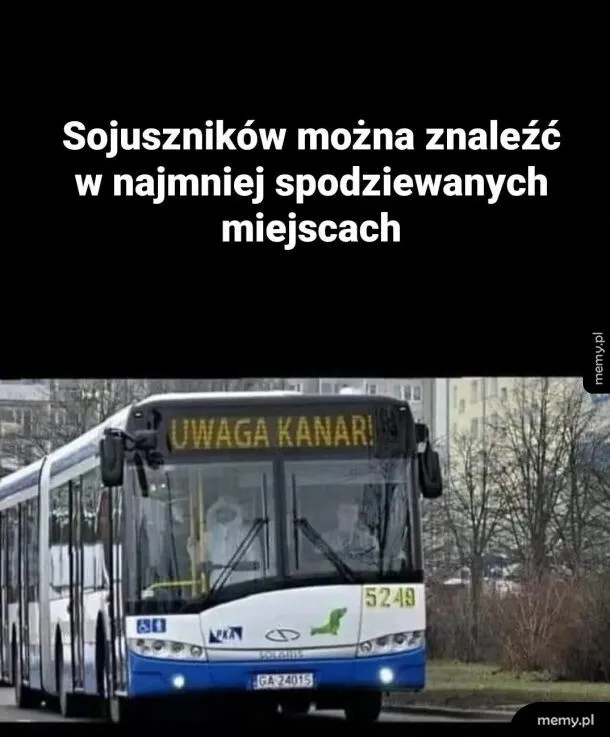 Sojusznik