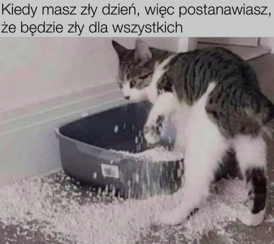 Humor