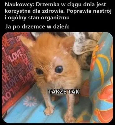 Drzemka