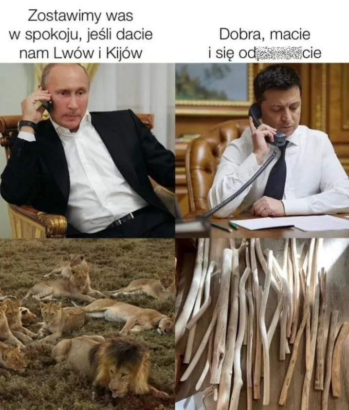 Lwów i Kijów