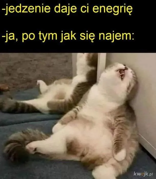 Jedzenie