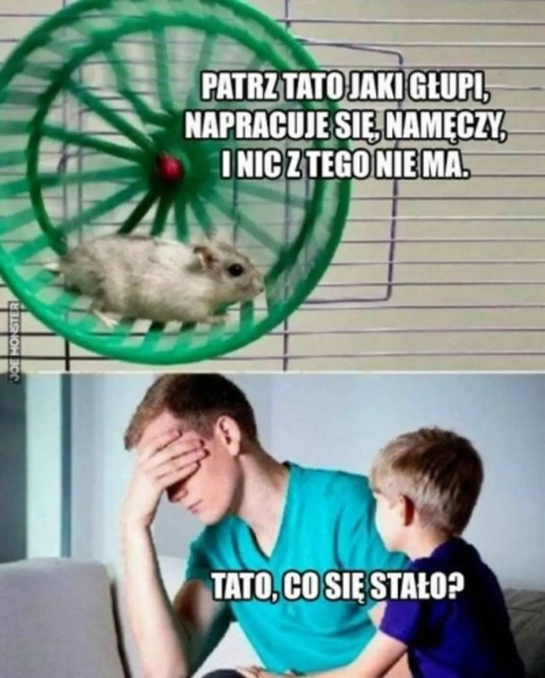 Patrz, tato