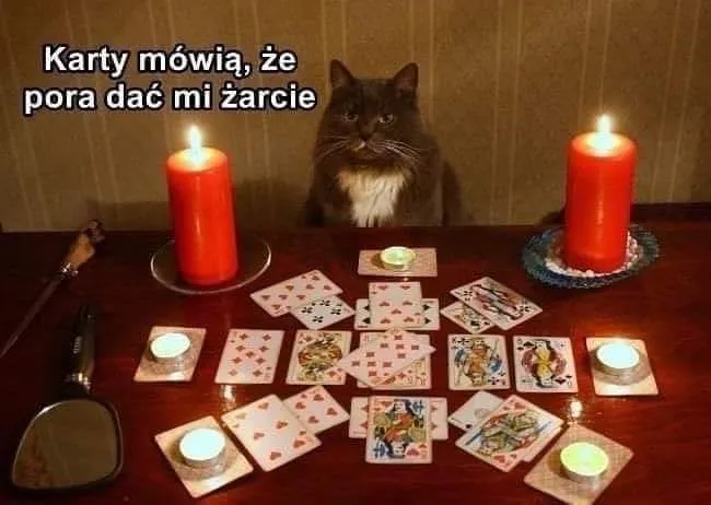 Co mówią karty?