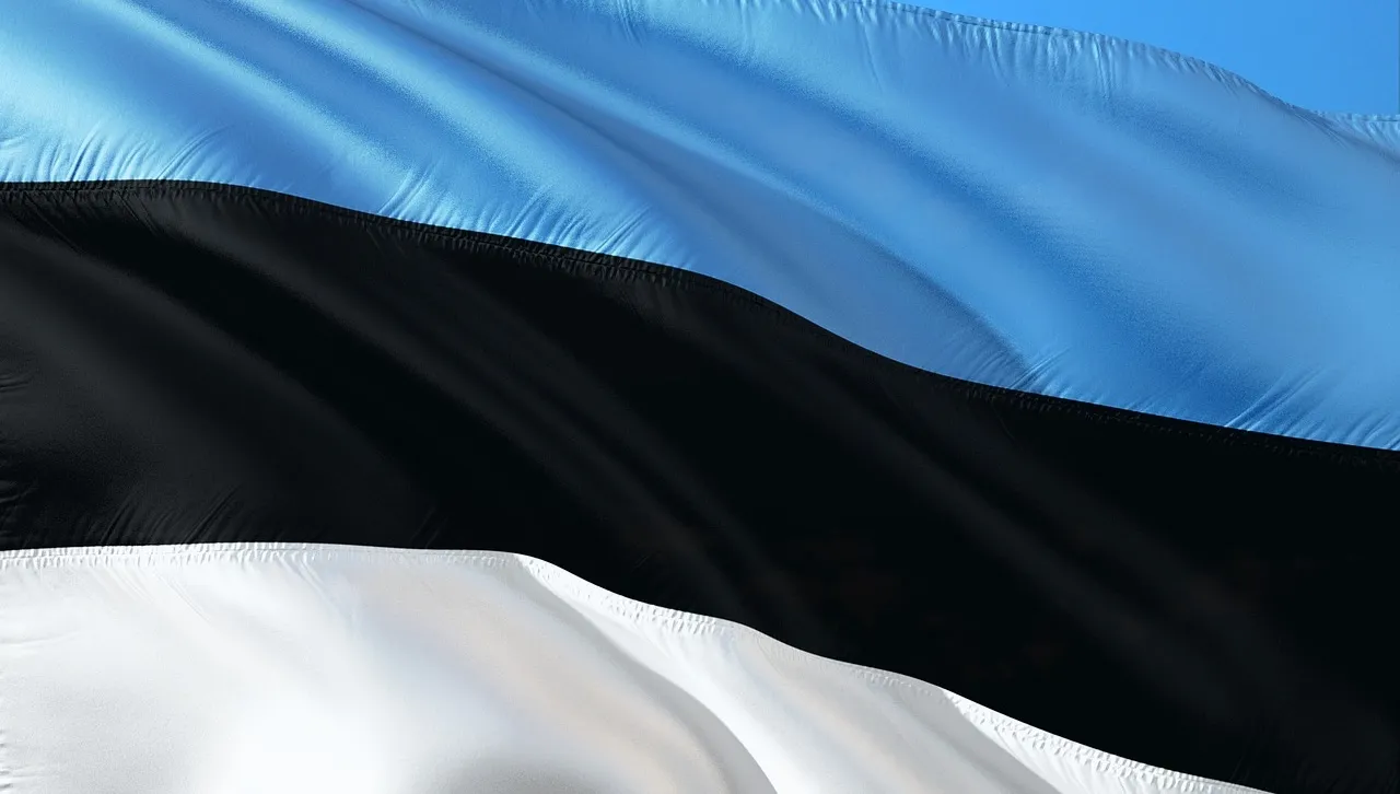 Estoński kontenerowiec zatonął niedaleko portu w Odessie