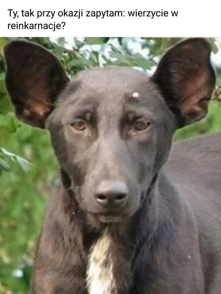Putin?