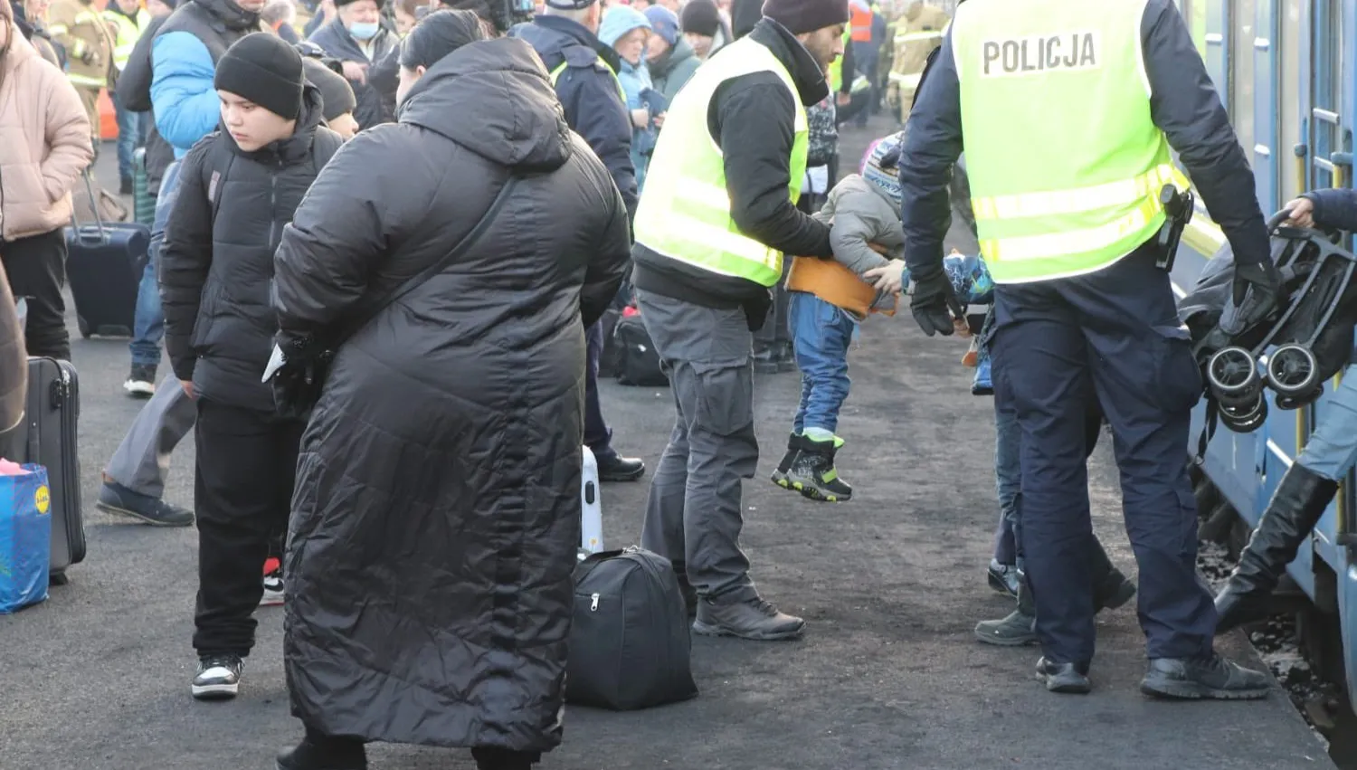 Ukraińscy wolontariusze pomagają uchodźcom