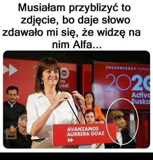 Alf
