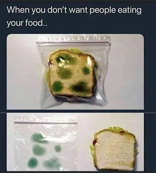 Kanapka