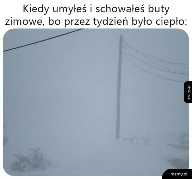 Niespodzianka