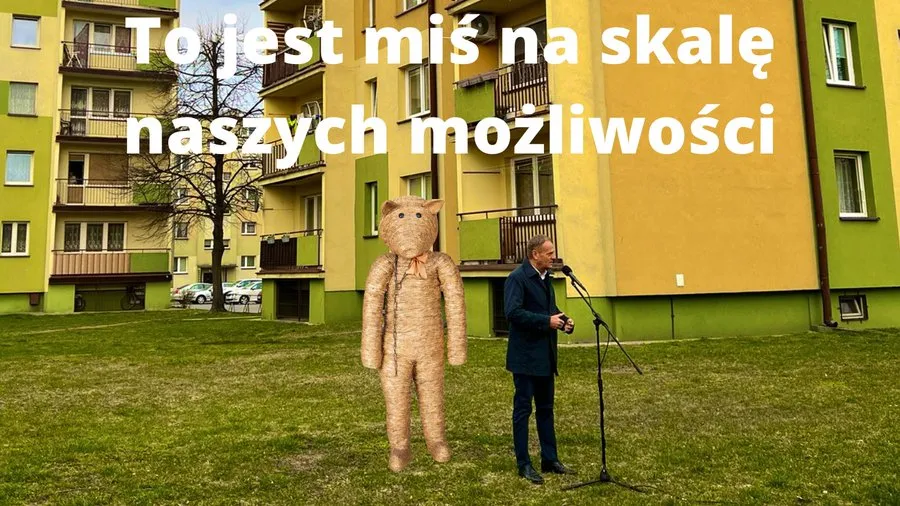 Miś