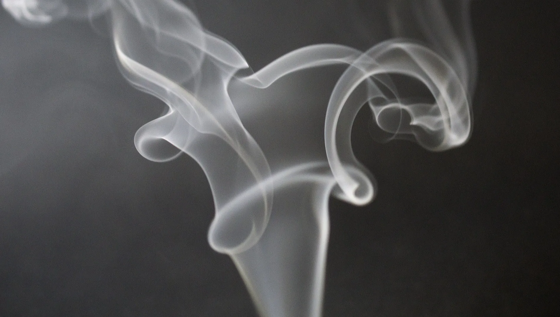 Philip Morris International, największy zagraniczny podatnik w Rosji, planuje wyjście z tego rynku