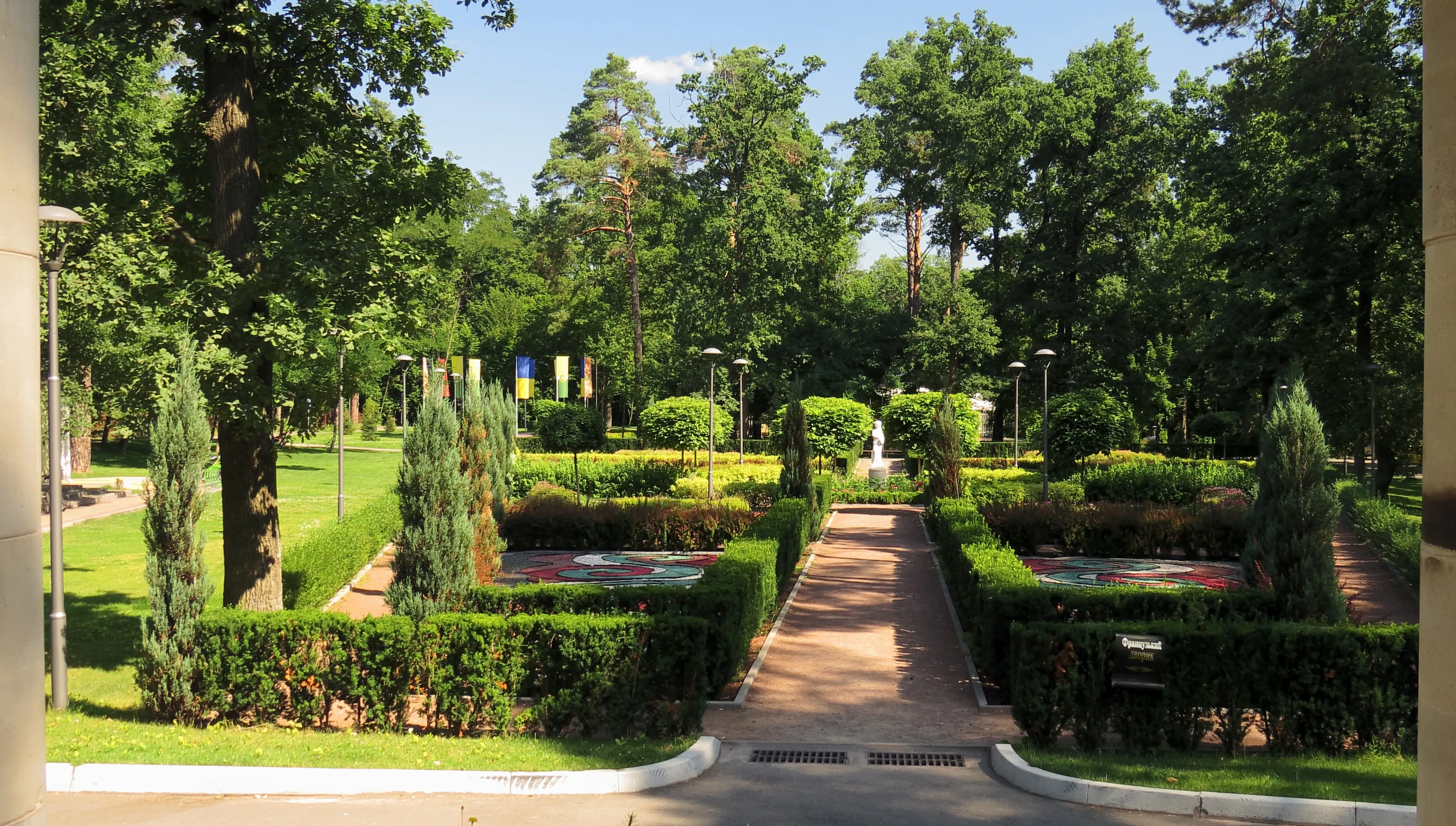 Bucza została wyzwolona 