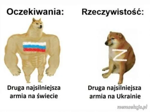 Oczekiwania i rzeczywistość