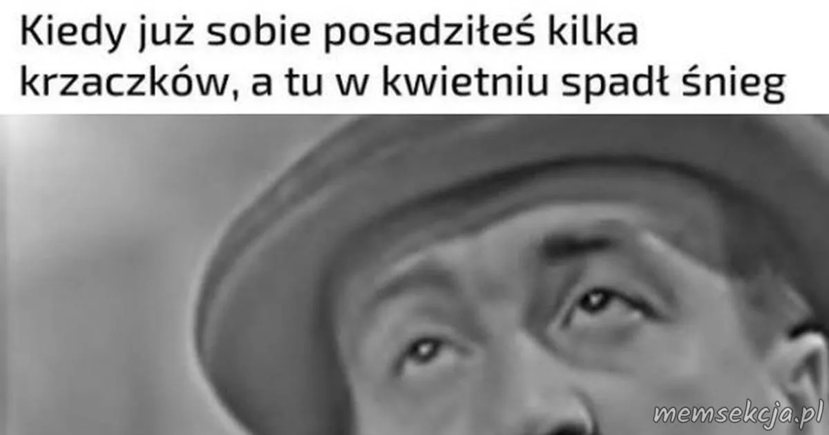 Śnieg