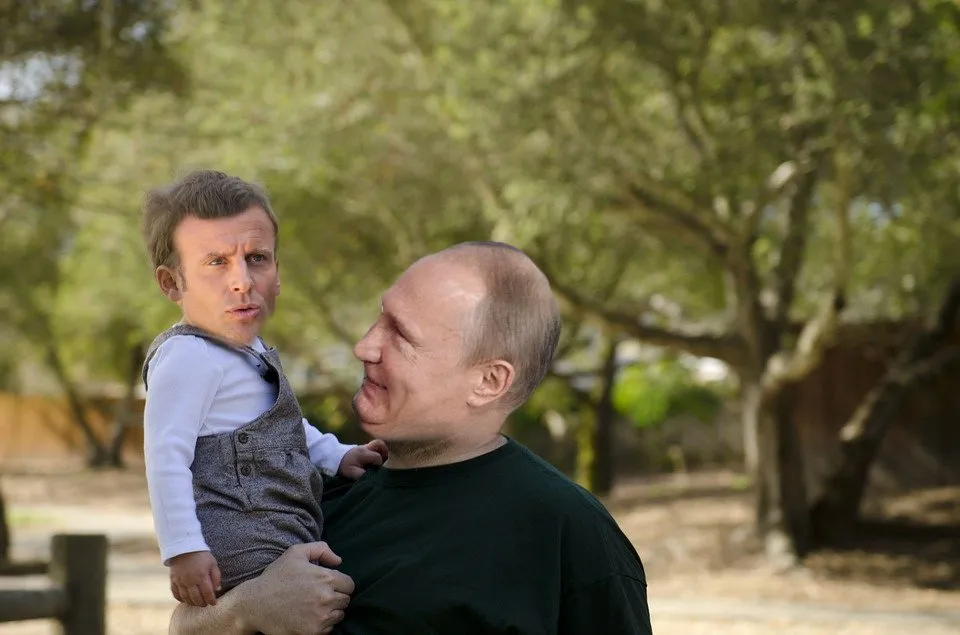 Swój do swego