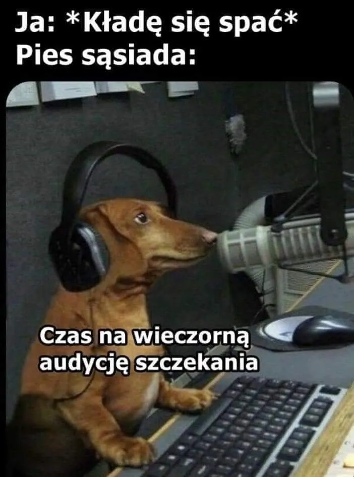 Audycja