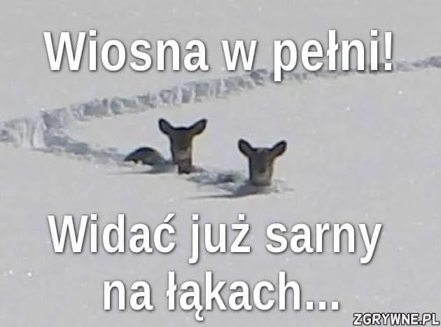 Wiosna