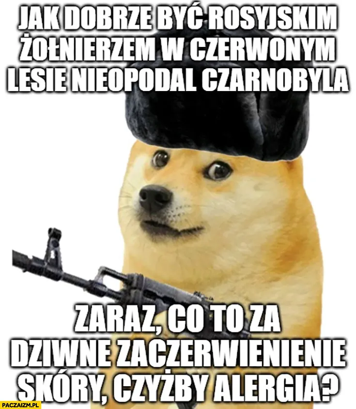 Alergia
