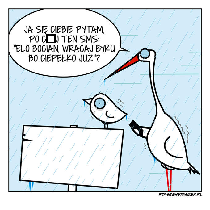 Elo bocian
