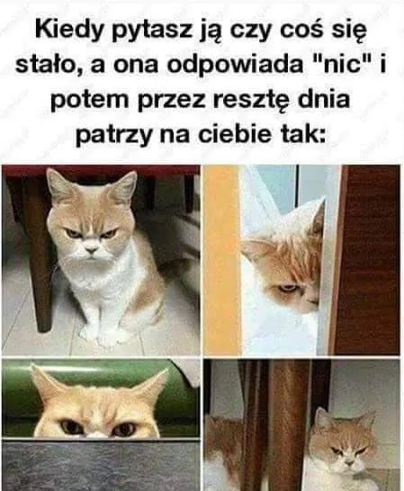 Nic