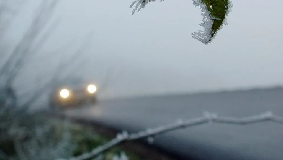 W nocy powrócą przymrozki na terenie Lubelszczyzny